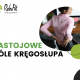 kręgosłupa