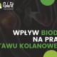 stawu