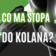 stopa