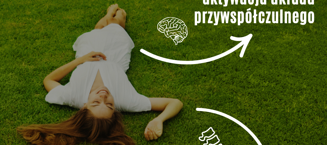 regeneracja układu nerwowego