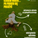 regeneracja układu nerwowego