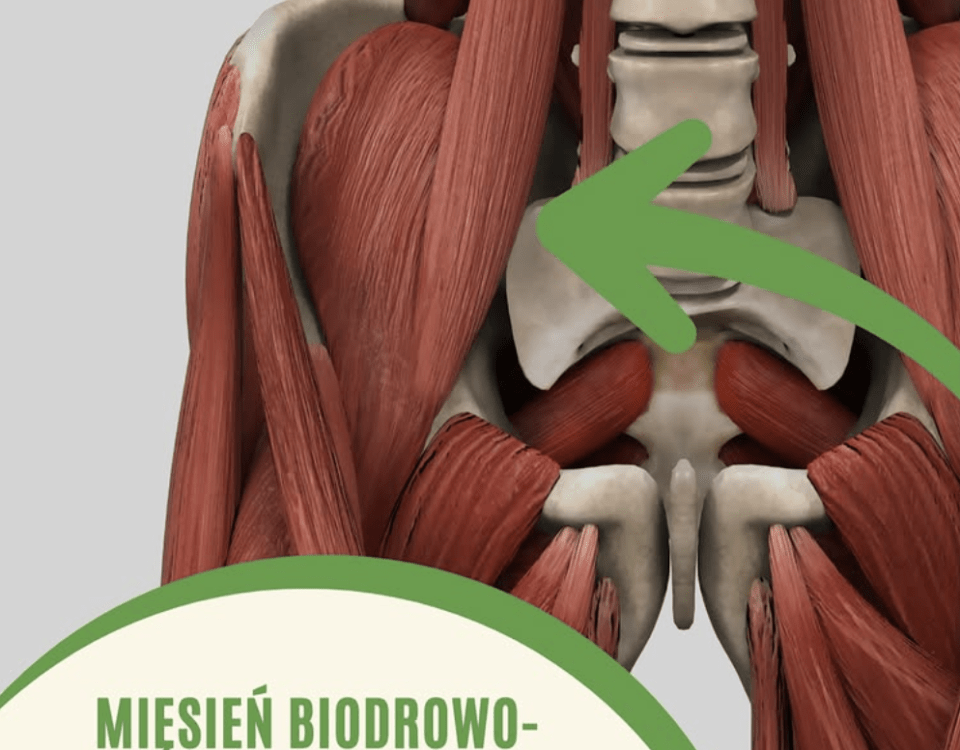 mięsień biodrowo-lędźwiowy