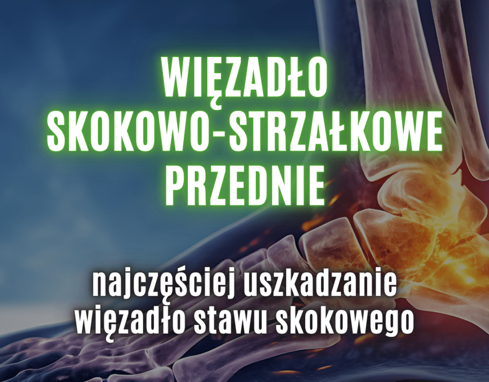 więzadło ATFL