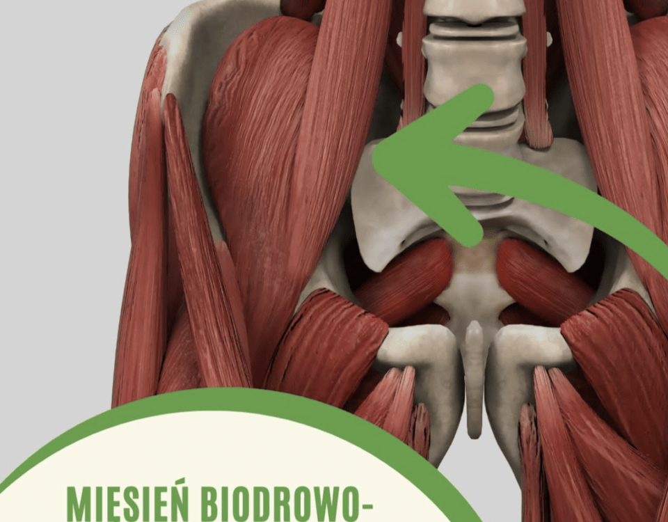 mięsień biodrowo-lędźwiowy